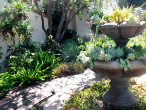 San Diego Garden